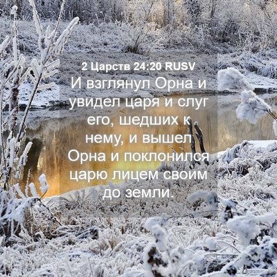 Picture 04 - 2 Царств 24:20 RUSV - И взглянул Орна и увидел - Bible Verse Picture