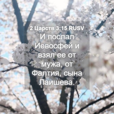 Picture 04 - 2 Царств 3:15 RUSV - И послал Иевосфей и взял ее - Bible Verse Picture