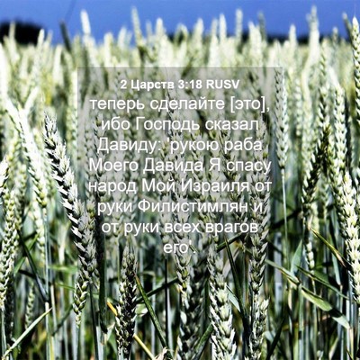 Picture 04 - 2 Царств 3:18 RUSV - теперь сделайте [это], ибо - Bible Verse Picture