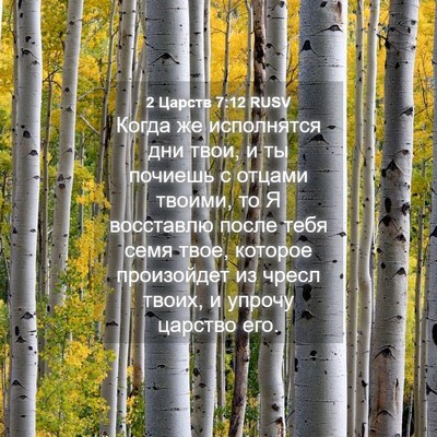 Picture 04 - 2 Царств 7:12 RUSV - Когда же исполнятся дни - Bible Verse Picture