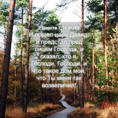 Picture 04 - 2 Царств 7:18 RUSV - И пошел царь Давид, и - Bible Verse Picture