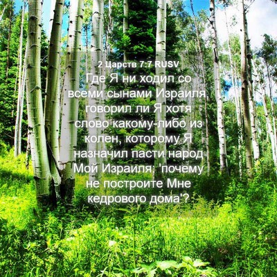 Picture 04 - 2 Царств 7:7 RUSV - Где Я ни ходил со всеми - Bible Verse Picture