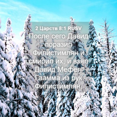 Picture 04 - 2 Царств 8:1 RUSV - После сего Давид поразил - Bible Verse Picture
