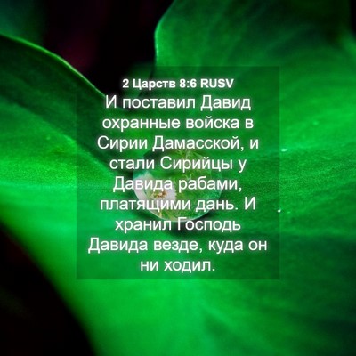 Picture 04 - 2 Царств 8:6 RUSV - И поставил Давид охранные - Bible Verse Picture