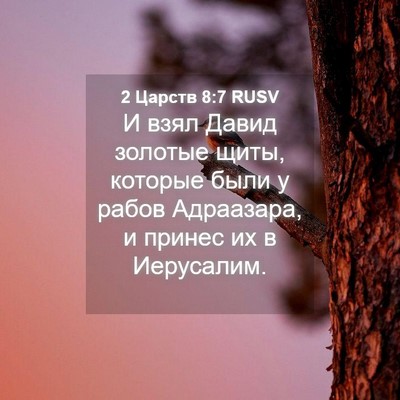 Picture 04 - 2 Царств 8:7 RUSV - И взял Давид золотые щиты, - Bible Verse Picture