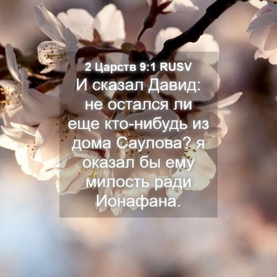Picture 04 - 2 Царств 9:1 RUSV - И сказал Давид: не остался - Bible Verse Picture