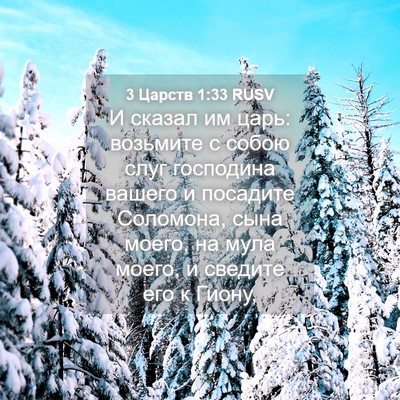 Picture 04 - 3 Царств 1:33 RUSV - И сказал им царь: возьмите - Bible Verse Picture