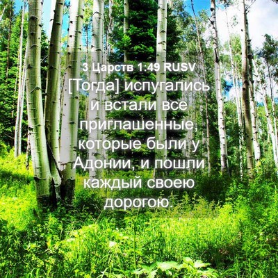 Picture 04 - 3 Царств 1:49 RUSV - [Тогда] испугались и встали - Bible Verse Picture