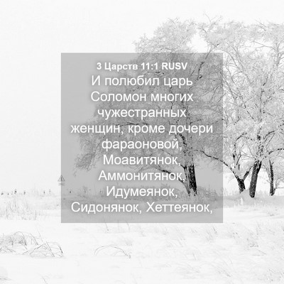 Picture 04 - 3 Царств 11:1 RUSV - И полюбил царь Соломон - Bible Verse Picture