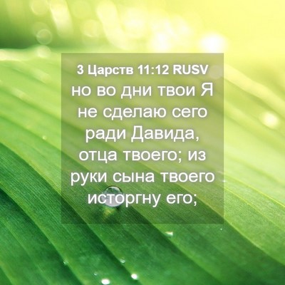 Picture 04 - 3 Царств 11:12 RUSV - но во дни твои Я не сделаю - Bible Verse Picture