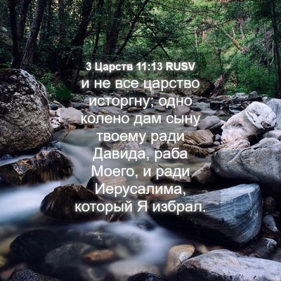 Picture 04 - 3 Царств 11:13 RUSV - и не все царство исторгну; - Bible Verse Picture