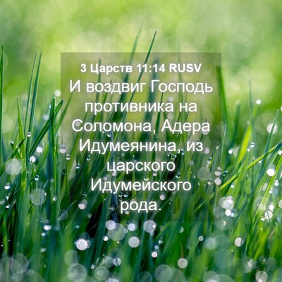 Picture 04 - 3 Царств 11:14 RUSV - И воздвиг Господь - Bible Verse Picture