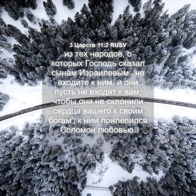 Picture 04 - 3 Царств 11:2 RUSV - из тех народов, о которых - Bible Verse Picture