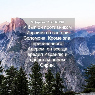 Picture 04 - 3 Царств 11:25 RUSV - И был он противником - Bible Verse Picture