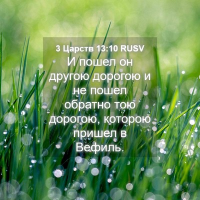 Picture 04 - 3 Царств 13:10 RUSV - И пошел он другою дорогою и - Bible Verse Picture