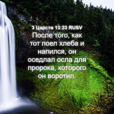 Picture 04 - 3 Царств 13:23 RUSV - После того, как тот поел - Bible Verse Picture
