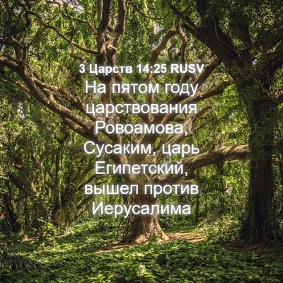 Picture 04 - 3 Царств 14:25 RUSV - На пятом году царствования - Bible Verse Picture
