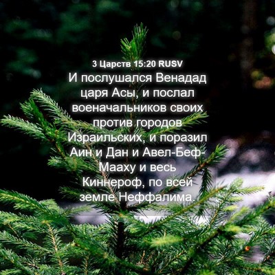 Picture 04 - 3 Царств 15:20 RUSV - И послушался Венадад царя - Bible Verse Picture