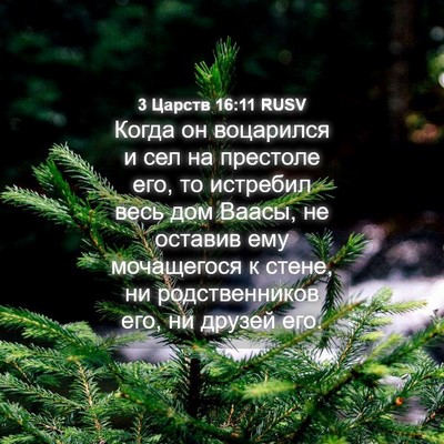 Picture 04 - 3 Царств 16:11 RUSV - Когда он воцарился и сел на - Bible Verse Picture