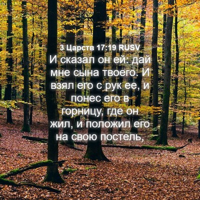 Picture 04 - 3 Царств 17:19 RUSV - И сказал он ей: дай мне сына - Bible Verse Picture