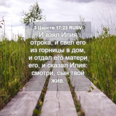 Picture 04 - 3 Царств 17:23 RUSV - И взял Илия отрока, и свел - Bible Verse Picture
