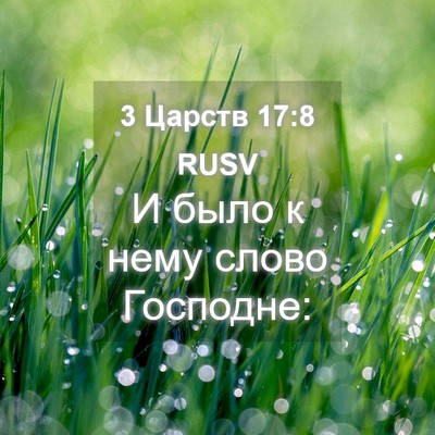 Picture 04 - 3 Царств 17:8 RUSV - И было к нему слово - Bible Verse Picture