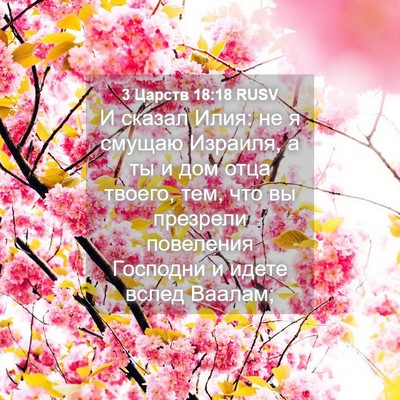 Picture 04 - 3 Царств 18:18 RUSV - И сказал Илия: не я смущаю - Bible Verse Picture