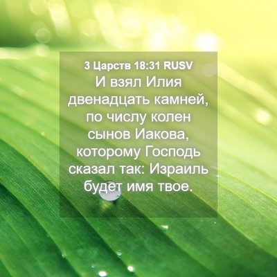 Picture 04 - 3 Царств 18:31 RUSV - И взял Илия двенадцать - Bible Verse Picture