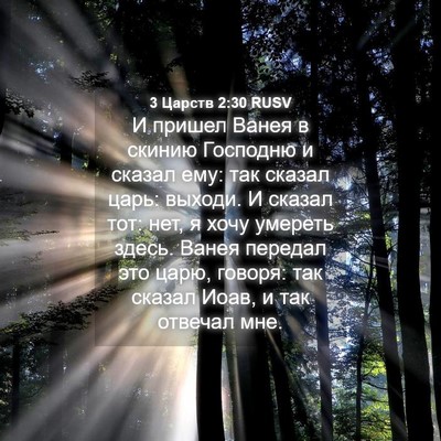Picture 04 - 3 Царств 2:30 RUSV - И пришел Ванея в скинию - Bible Verse Picture