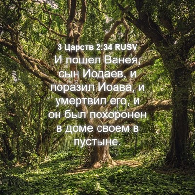 Picture 04 - 3 Царств 2:34 RUSV - И пошел Ванея, сын Иодаев, и - Bible Verse Picture
