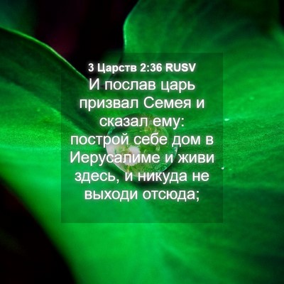 Picture 04 - 3 Царств 2:36 RUSV - И послав царь призвал - Bible Verse Picture