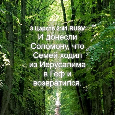 Picture 04 - 3 Царств 2:41 RUSV - И донесли Соломону, что - Bible Verse Picture