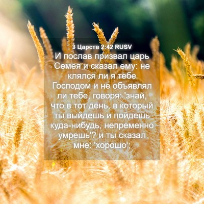 Picture 04 - 3 Царств 2:42 RUSV - И послав призвал царь - Bible Verse Picture