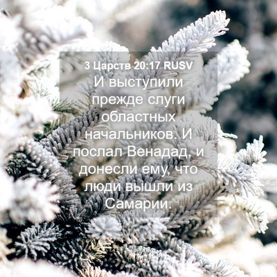 Picture 04 - 3 Царств 20:17 RUSV - И выступили прежде слуги - Bible Verse Picture