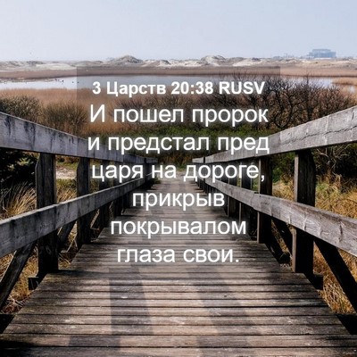 Picture 04 - 3 Царств 20:38 RUSV - И пошел пророк и предстал - Bible Verse Picture