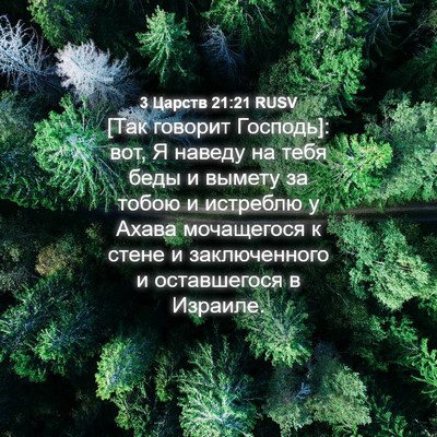 Picture 04 - 3 Царств 21:21 RUSV - [Так говорит Господь]: вот, - Bible Verse Picture