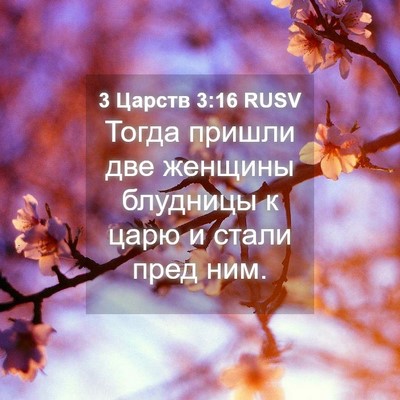 Picture 04 - 3 Царств 3:16 RUSV - Тогда пришли две женщины - Bible Verse Picture