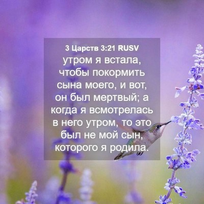 Picture 04 - 3 Царств 3:21 RUSV - утром я встала, чтобы - Bible Verse Picture