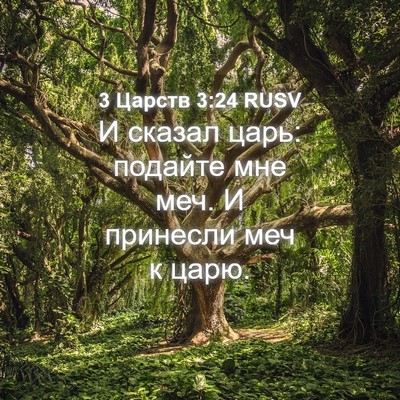 Picture 04 - 3 Царств 3:24 RUSV - И сказал царь: подайте мне - Bible Verse Picture