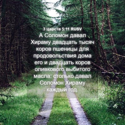 Picture 04 - 3 Царств 5:11 RUSV - А Соломон давал Хираму - Bible Verse Picture
