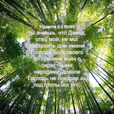 Picture 04 - 3 Царств 5:3 RUSV - ты знаешь, что Давид, отец - Bible Verse Picture