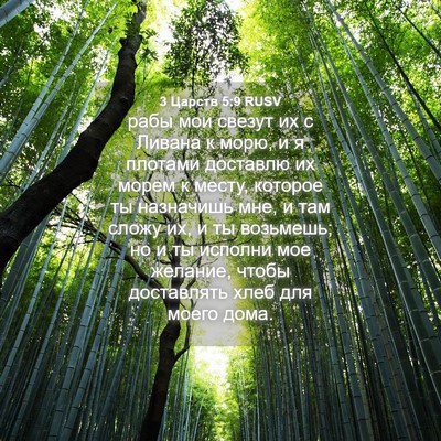 Picture 04 - 3 Царств 5:9 RUSV - рабы мои свезут их с Ливана - Bible Verse Picture
