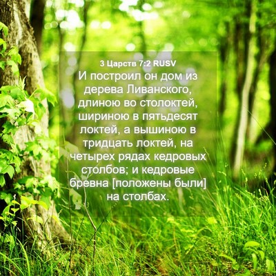 Picture 04 - 3 Царств 7:2 RUSV - И построил он дом из дерева - Bible Verse Picture