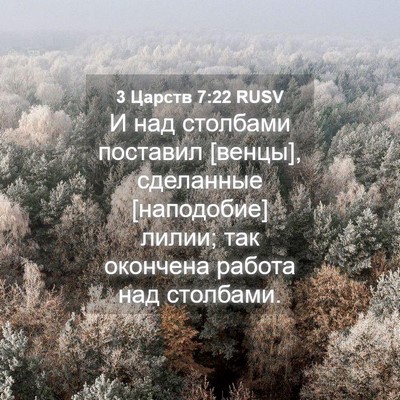 Picture 04 - 3 Царств 7:22 RUSV - И над столбами поставил - Bible Verse Picture