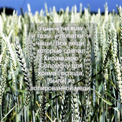 Picture 04 - 3 Царств 7:45 RUSV - и тазы, и лопатки, и чаши. - Bible Verse Picture