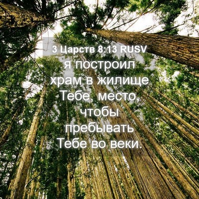 Picture 04 - 3 Царств 8:13 RUSV - я построил храм в жилище - Bible Verse Picture