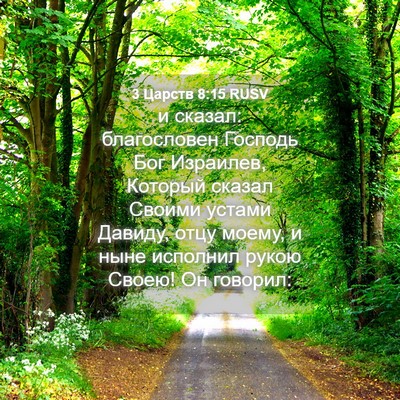Picture 04 - 3 Царств 8:15 RUSV - и сказал: благословен - Bible Verse Picture