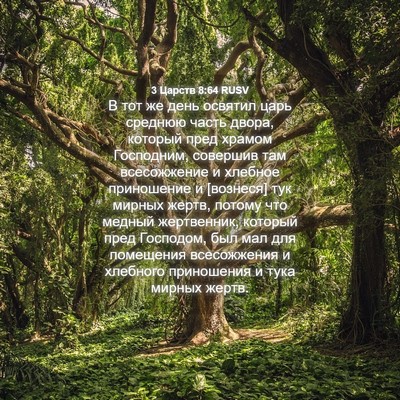 Picture 04 - 3 Царств 8:64 RUSV - В тот же день освятил царь - Bible Verse Picture