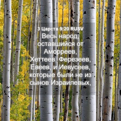 Picture 04 - 3 Царств 9:20 RUSV - Весь народ, оставшийся от - Bible Verse Picture