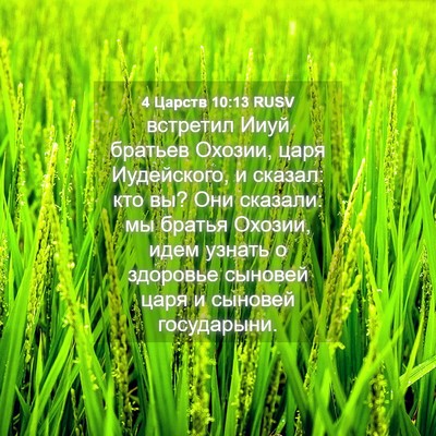 Picture 04 - 4 Царств 10:13 RUSV - встретил Ииуй братьев - Bible Verse Picture